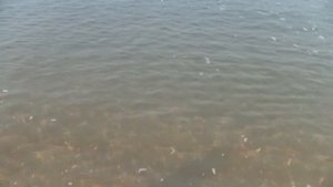 Пляж отеля Ravindra Beach Resort&Spa