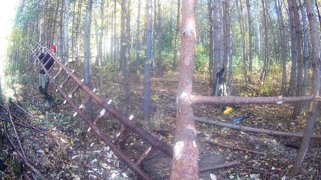 Строительство ВЫШКИ в ЛЕСУ своими руками! Часть 2 смотреть онлайн