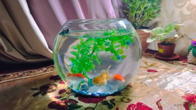 Аквариум Уход Золотые Рыбки?Новый Питомец в Семье? смотреть онлайн