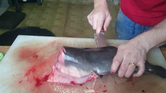Разделка мраморного сома | Catfish