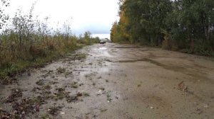 Фронт DL AUDIO gryphon pro 165(прослушка)