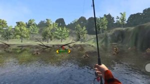 Куча новой РЫБЫ!!! | Ultimate Fishing Simulator | Йоркширские долины