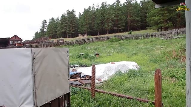 Переезд в Новосибирск ч.6. Что с с кошками. Дом. Причины переезда. И др. (06.22г.) Семья Бровченко.