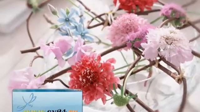Заказ цветов CV24