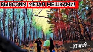 Копаем металлолом на УЖД 1952 года. Что оставили нам предки!