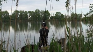 Ловля карпа на флет фидер. Вовкове озеро.Часть 1 [По-простому о сложном №20]