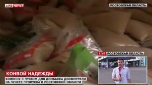 Колонна МЧС РФ с гуманитарным грузом для Донбасса прибыла на границу. 28.05.15