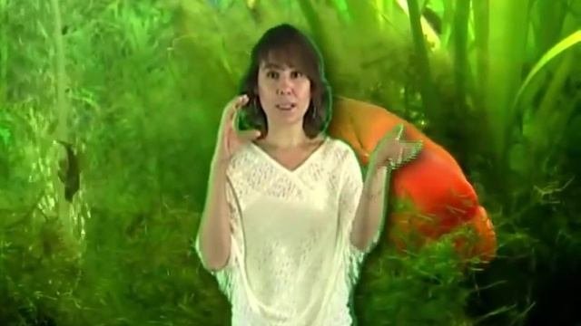 ХООПОНОПОНО:  Результаты по Здоровью