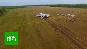 Посадка на пшеничное поле: что ждет пилотов Airbus A320 после расследования | «ЦТ»