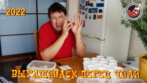 Как вырастить перец чили? Сезон 2022, начало.