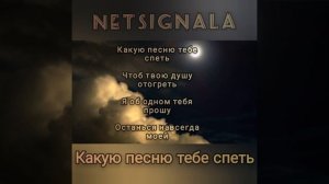NETSIGNALA   "Какую песню тебе спеть"