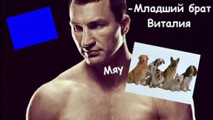 ТОП 5 БРАТЬЕВ КЛИЧКО