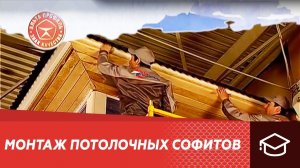 Монтаж виниловых потолочных софитов Альта-Профиль