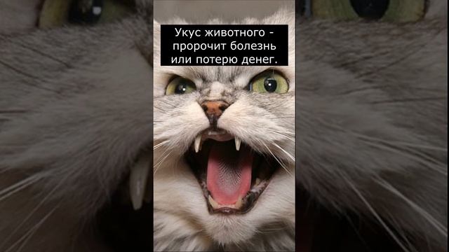 Сны которые нельзя игнорировать