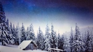 Мне стало нравиться молчать. Автор: Наталья Стуенецкая.