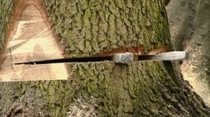 STIHL Безопасная и эффективная работа с бензопилой