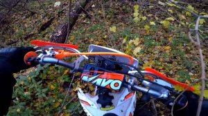 ПОКАТУШКА НА ЭНДУРО ПО ГРЯЗНОМУ ОСЕННЕМУ ЛЕСУ/kayo k1 250 mx 172fmm 2023  kayo t2 mx 2021 169fmm