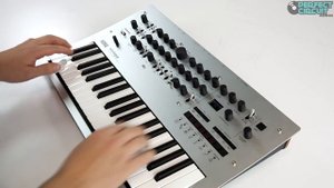 Korg Minilogue Sound Design Demo