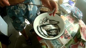 Луфарь Черноморский.Рецепт Вялки рыбы.