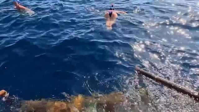 Египет 2023. НЕВЕРОЯТНОЕ МОРЕ❗️ВСЕ ВКЛЮЧЕНО в БЮДЖЕТНОЙ ПЯТЕРКЕ The Grand Hotel Sharm. Шарм Эль Шей