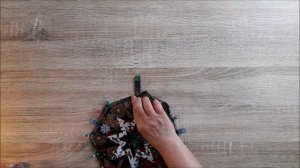 DIY // Как сшить Новогодние праздничные прихватки в технике АРТИШОК и ПЭЧВОРК // Christmas Potholde