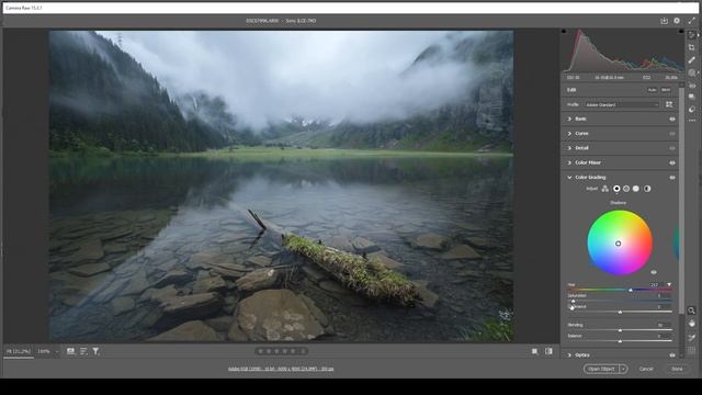 Moody Landscape Tones in Photoshop: A Step-by-Step Tutorial смотреть онлайн