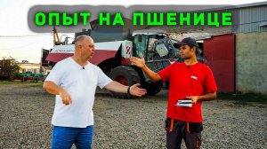 Уборка пшеницы (результаты опытов)🌾
