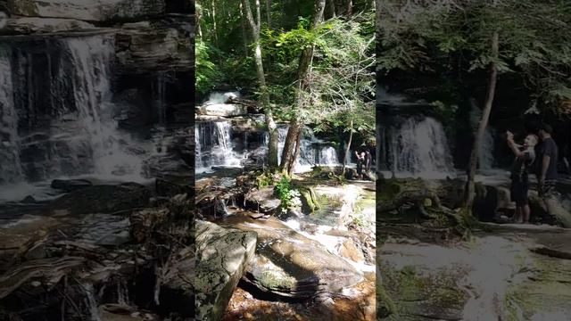 Rickett's Glen Falls Trail, Benton, PA 9/10/22