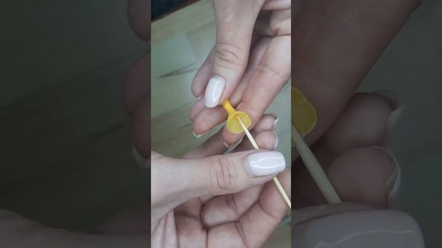 грамофон для нарцисса смотреть онлайн