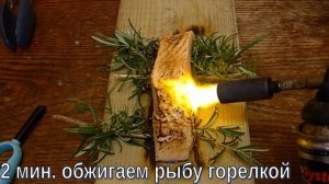 Семга на горелке: лучший рецепт семги