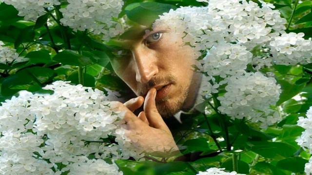 спящая красавица СМихайлов и Зара смотреть онлайн