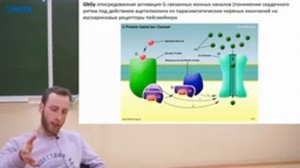 Лекция от  26 марта 2020 года