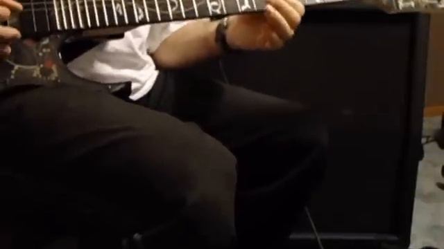 Def Leppard Animal Guitar Solo up close смотреть онлайн