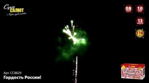 Батарея салютов Гордость России (116/0,8;1) СС8829