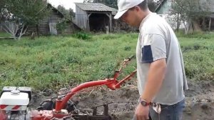 Уборка картофеля мотоблоком МТЗ - 09Н