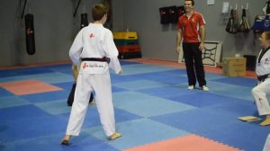 Taekwondo Board Breaking Montage - Hanmadang 2013 - Factorten Martial Arts