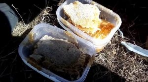 Вырезка Мёда из 17 колоды (или когда не нужно его вырезать)