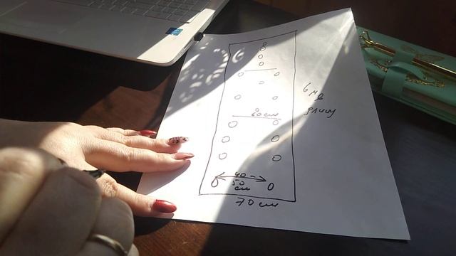 Три схемы посадки земляники садовой (клубники) // Ягодная Империя Анастасии смотреть онлайн