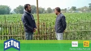 Bihar farmer Md Sattar used Zetol ( 11.44.11 ) and got good results | Fertis India Pvt Ltd