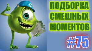 смешные видео #75 / лучшие видео / подборка приколов