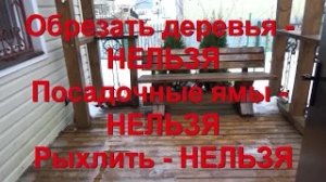 38. Хлопотный день из жизни на даче.