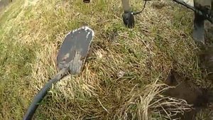 Поиск монет с теркой 705 и 505. Не битое поле, часть первая.Супер находки!!!