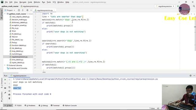 41. Python Bangla Tutorial  |  Python Regular Expression sub method in Bangla .