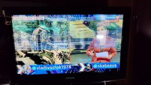 Samsung LE-32B450, поломка