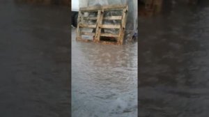 Погода в Перми сегодня