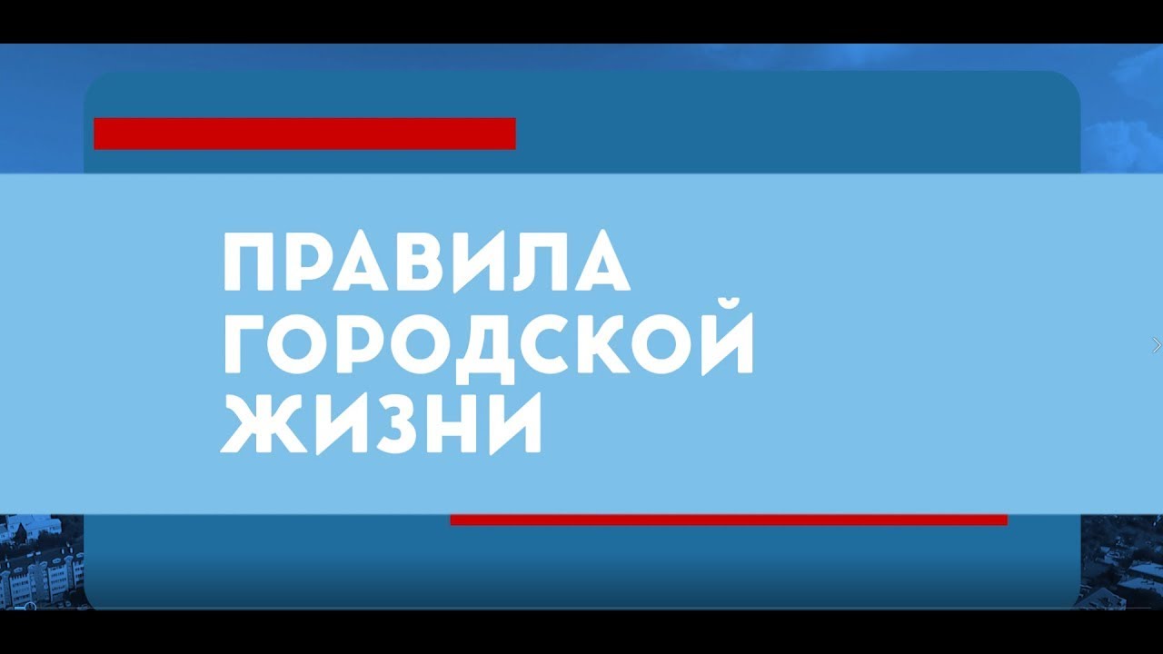 Правила городской жизни. Владимир Крафт о вопросах общественной безопасности - Абакан 24