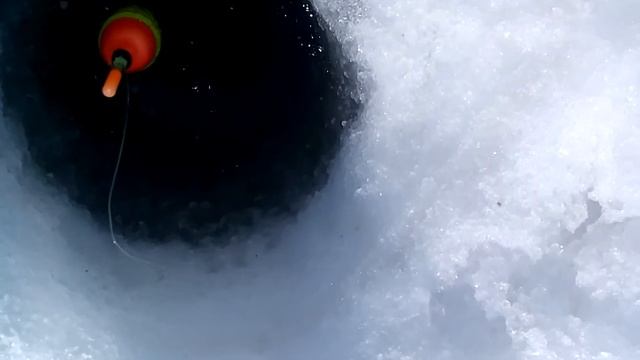 Ловля камбалы из подо льда на поплавок, Владивосток