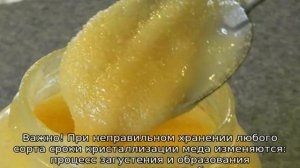 Кристаллизация меда
