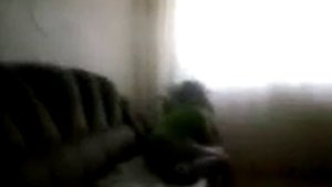 бабушка ругается на внука