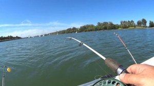 КАКОЙ КРАСНЫЙ ОПАРЫШ ИЛИ БЕЛЫЙ ? РЫБАЛКА С ЛОДКИ НА ДОНУ НА ЯЙЦА